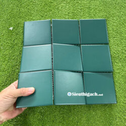 Gạch 10x10 Cm Màu Xanh Rêu Men Mờ 1