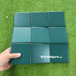 Gạch 10x10 Cm Màu Xanh Rêu Men Mờ 2