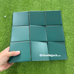 Gạch 10x10 Cm Màu Xanh Rêu Men Mờ 5