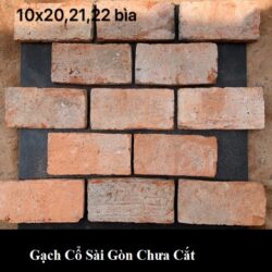 gach co sai gon chua cat con nguyen kich thuoc 10x20 cm