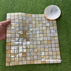 Gạch Mosaic Chất Liệu Vỏ Sò Ngọc Trai Biển Ánh Xà Cừ 3