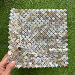 Gạch Mosaic Vảy Cá Xà Cừ Vỏ Sò -Ngọc Trai 1