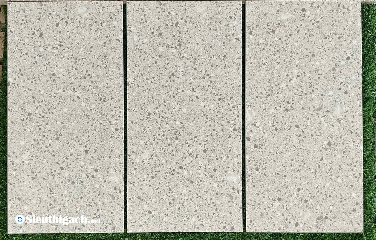 Gạch Vân Terrazzo 300x600 Màu Xám Nhạt Mờ Matt 1