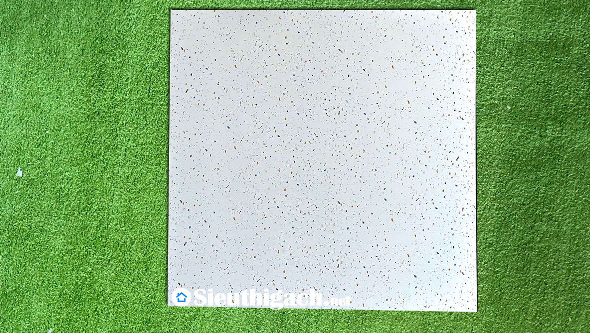 Gạch Lát Sàn Terrazzo 600×600 Men Mờ Matt TT6304 1